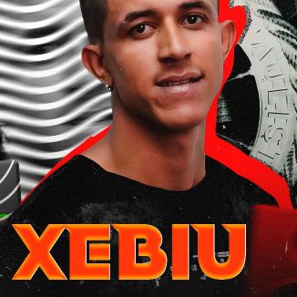 Foto da capa: XEBIU