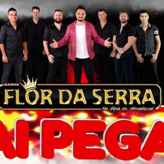 Foto da capa: Vai Pegar - Flor Da Serra [ Funk Remix ]