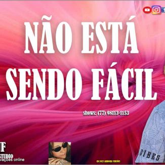 Foto da capa: Não está sendo Fácil CD 2022