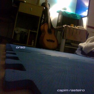 Foto da capa: capim rasteiro