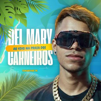 Foto da capa: DelMary Ao Vivo Na Praia Dos Carneiros / Tamandaré Pe