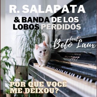 Foto da capa: Por que você me deixou?