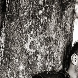 Foto da capa: Tudo Sobre Você - Single
