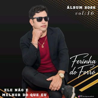 Foto da capa: Ferinha Do Forró Vol16