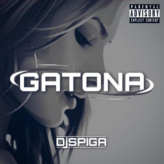 Foto da capa: Gatona