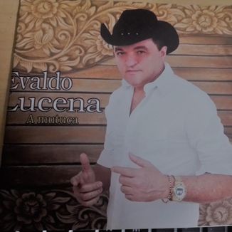 Foto da capa: A mutuca