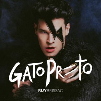Foto da capa: Gato preto