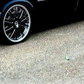 Foto da capa: Castelo de Areia