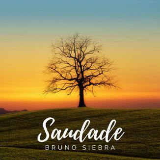 Foto da capa: Saudade