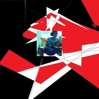 Foto da capa: forrózin do san nik produções