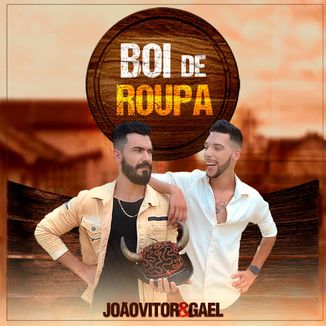 Foto da capa: Boi de Roupa