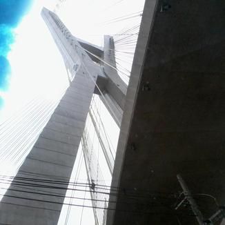 Foto da capa: velhinha gagar
