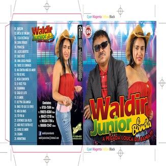 Foto da capa: Album waldir junior e banda