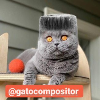 Foto da capa: PISEIRO E SERTANEJO 2021