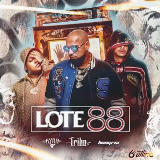 Foto da capa: Lote 88