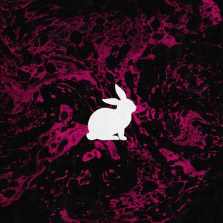 Foto da capa: White Rabbit (Tributo Jefferson Airplane)