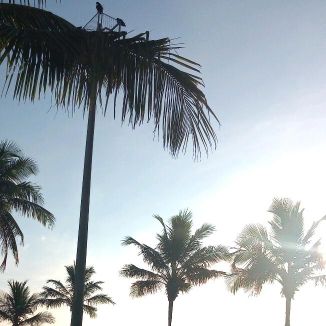 Foto da capa: Me Responde