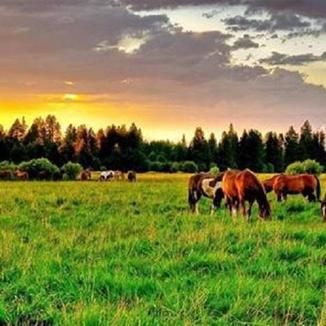 Foto da capa: Só sucessos 2014