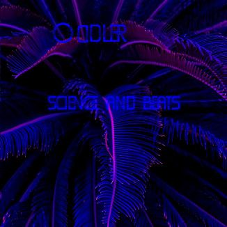 Foto da capa: Science and Beat