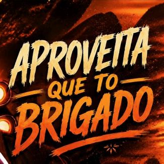 Foto da capa: APROVEITA QUE EU TÔ BRIGADO