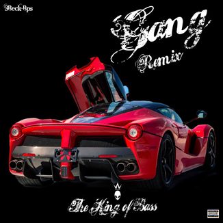 Foto da capa: Gang (Remix)