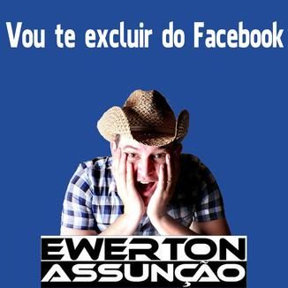 Foto da capa: Vou te excluir do facebook