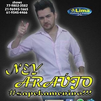 Foto da capa: CD PROMOCIONAL 2013