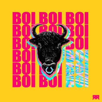 Foto da capa: Boi Boi Boi