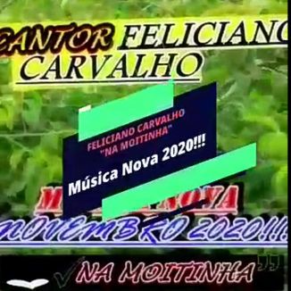 Foto da capa: Na Moitinha