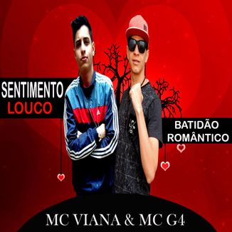 Foto da capa: Sentimento Louco