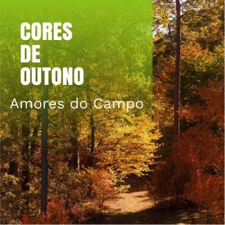 Foto da capa: Amores Do Campo