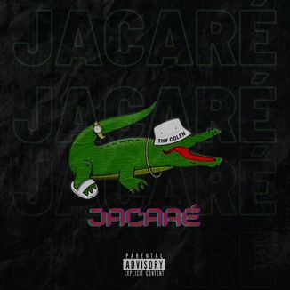 Foto da capa: Jacaré