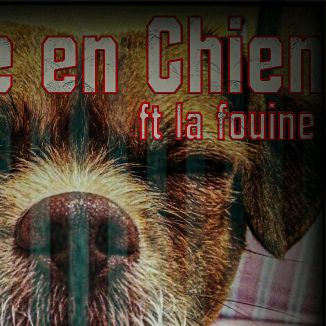 Foto da capa: Reste En Chien