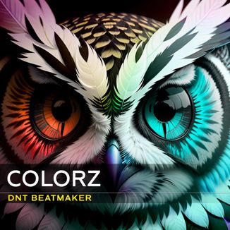 Foto da capa: Colorz