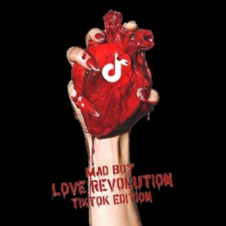 Foto da capa: Love Revolution: TikTok Edition