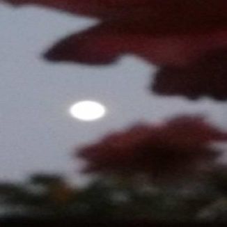 Foto da capa: Recomeço