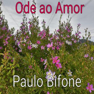 Foto da capa: Ode ao Amor