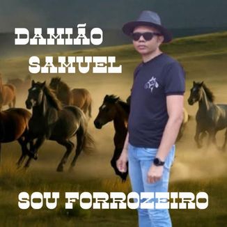 Foto da capa: Sou Forrozeiro / Piseiro