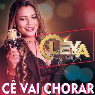 Foto da capa: Ce Vai Chorar CleyaSantos