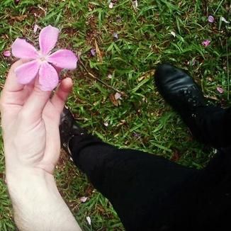 Foto da capa: Estrela