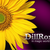 DillRox