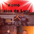Forró Raios de Luar