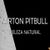 Airon Pitbull