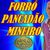 Forró Pancadão Mineiro