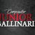 MUSICA SERTANEJA P/ BAIXAR *COMPOSITOR JR GALLINARI*