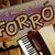 AS MELHORES DO FORRÓ