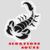Equipe Scorpions
