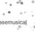 Basemusical (Produtor WP)