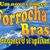 Forrocha Brasil original