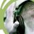 DJ Jackson Mix ®